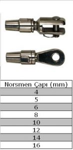 normen erkek disi özellik tablosu