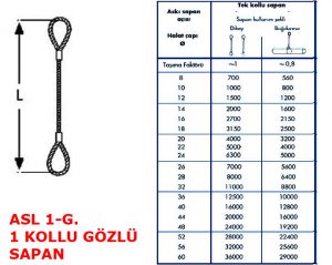 Tek Bacaklı Gözlü Çelik Halat Sapanı